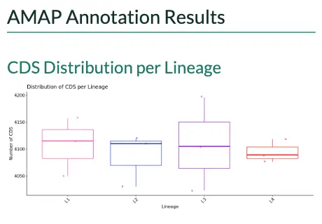 The annotation results section of the example report