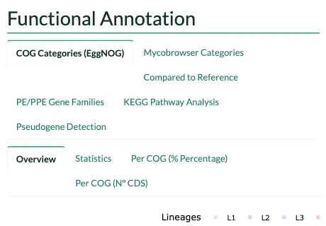 The functional annotation section of the example report