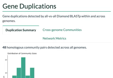 The duplications section of the example report