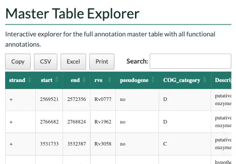 The master table section of the example report
