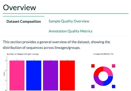 The overview section of the example report